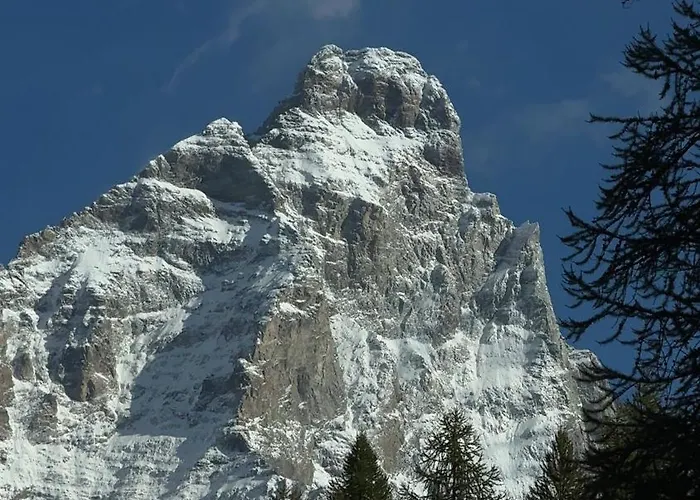 Appartement Maison Cleo Elegant *